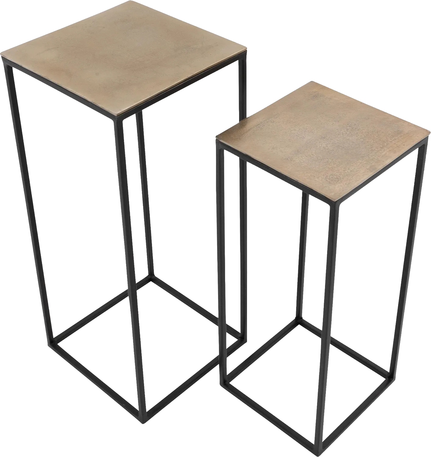 Plantentafel Fille - set van 2