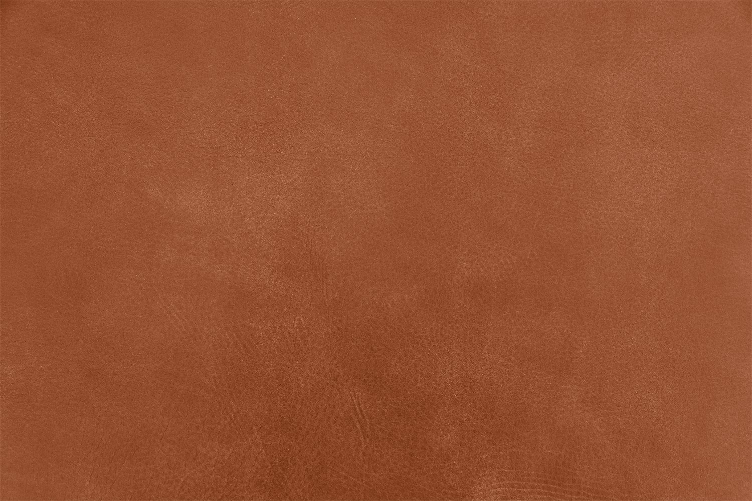 8192634-317-06